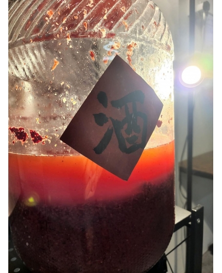 (预定)自酿福州红酒 (PRE-ORDER)Homemade Fermented Fuzhou Red Wine